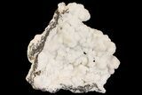 Manganoan Calcite and Kutnohorite Association - Fluorescent! #169804-1